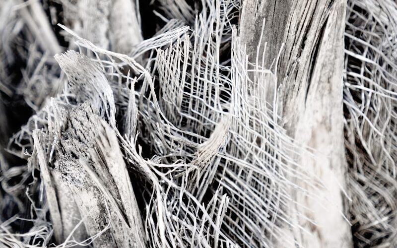 brown dried grass during daytime